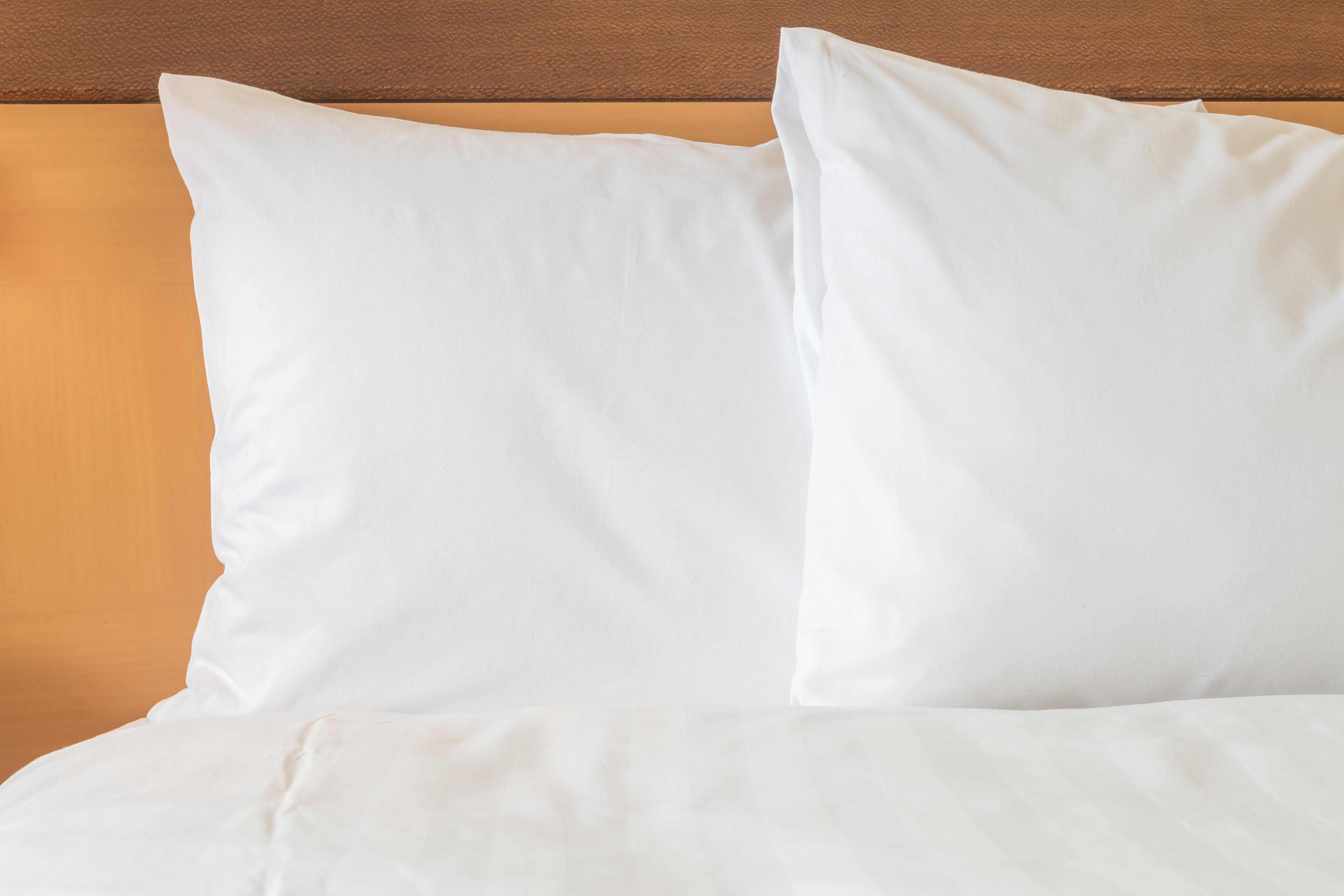 Envision Hotel & Conference Center Mansfield-Foxboro Ngoại thất bức ảnh